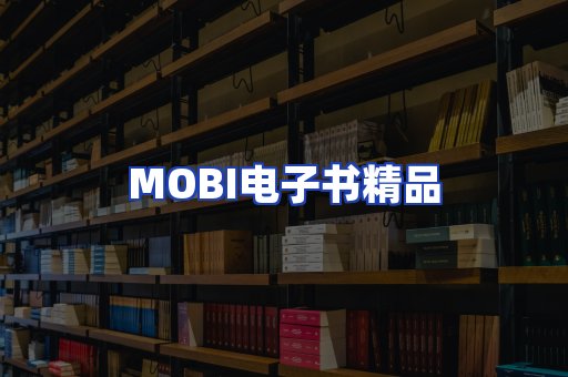 外文电子书产品