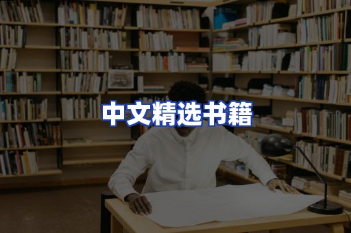 中文精选书籍